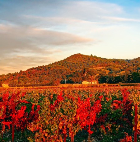 L’automne en France et ses traditions